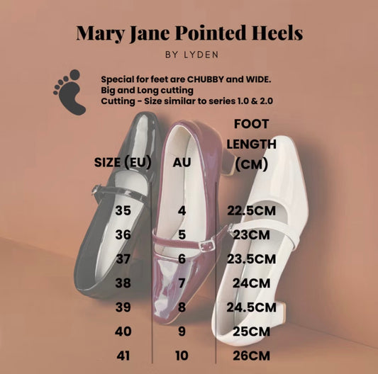 LYDEN Mary Jane Pointed Heels 6cm