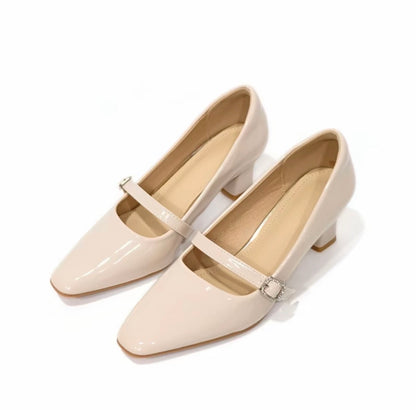 LYDEN Mary Jane Pointed Heels 6cm