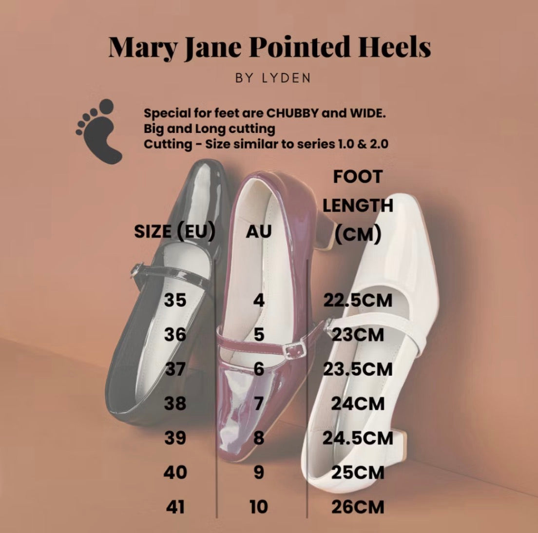 LYDEN Mary Jane Pointed Heels 6cm