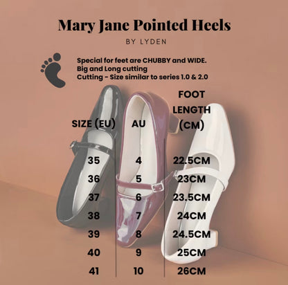 LYDEN Mary Jane Pointed Heels 6cm