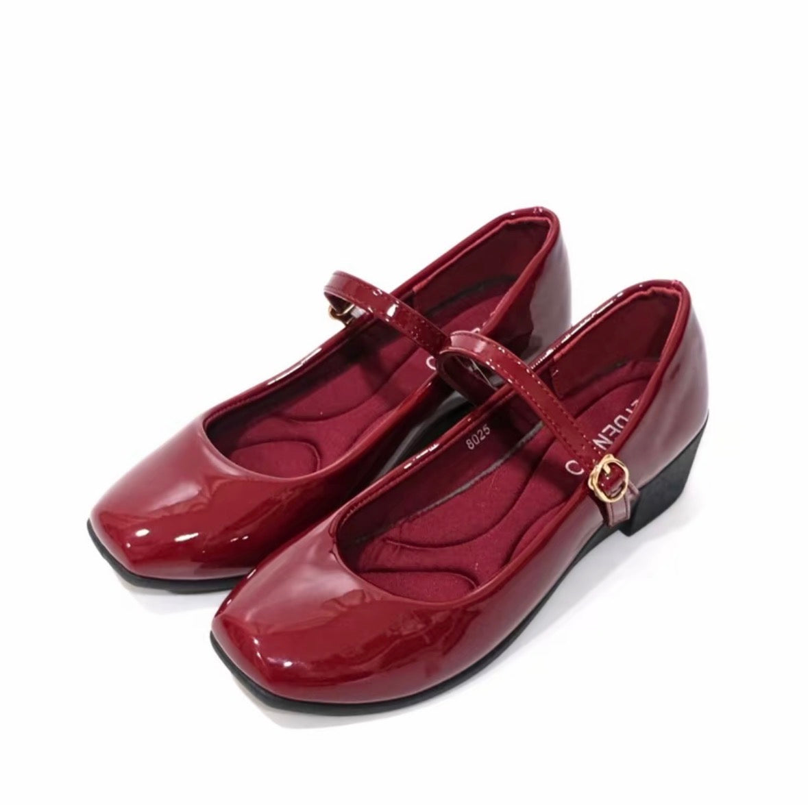 LYDEN Mary Jane Wedges Series