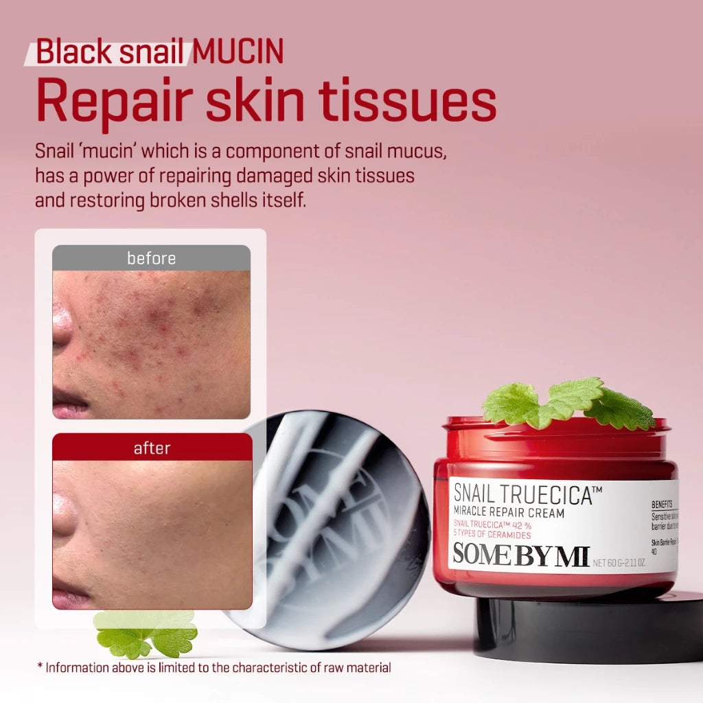 SBM Snail Toner + Snail Cream