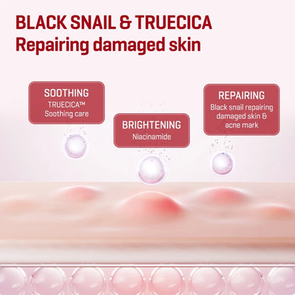 SBM Snail Toner + Snail Serum