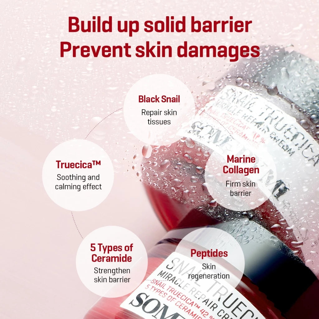 SBM Snail Toner + Snail Cream